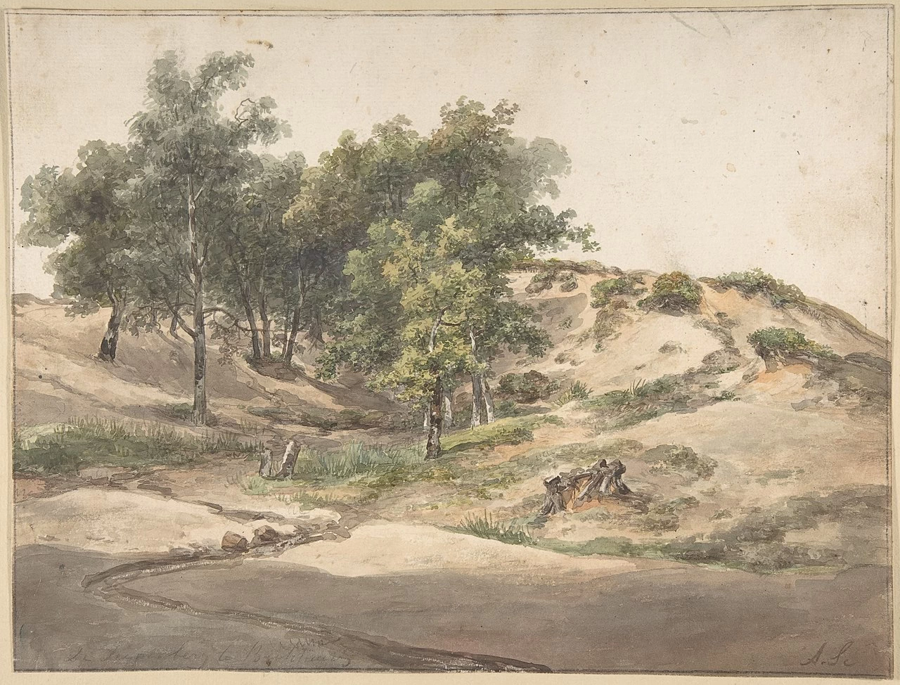 Un paesaggio boscoso vicino a Beekhuizen - Metropolitan Museum of Art